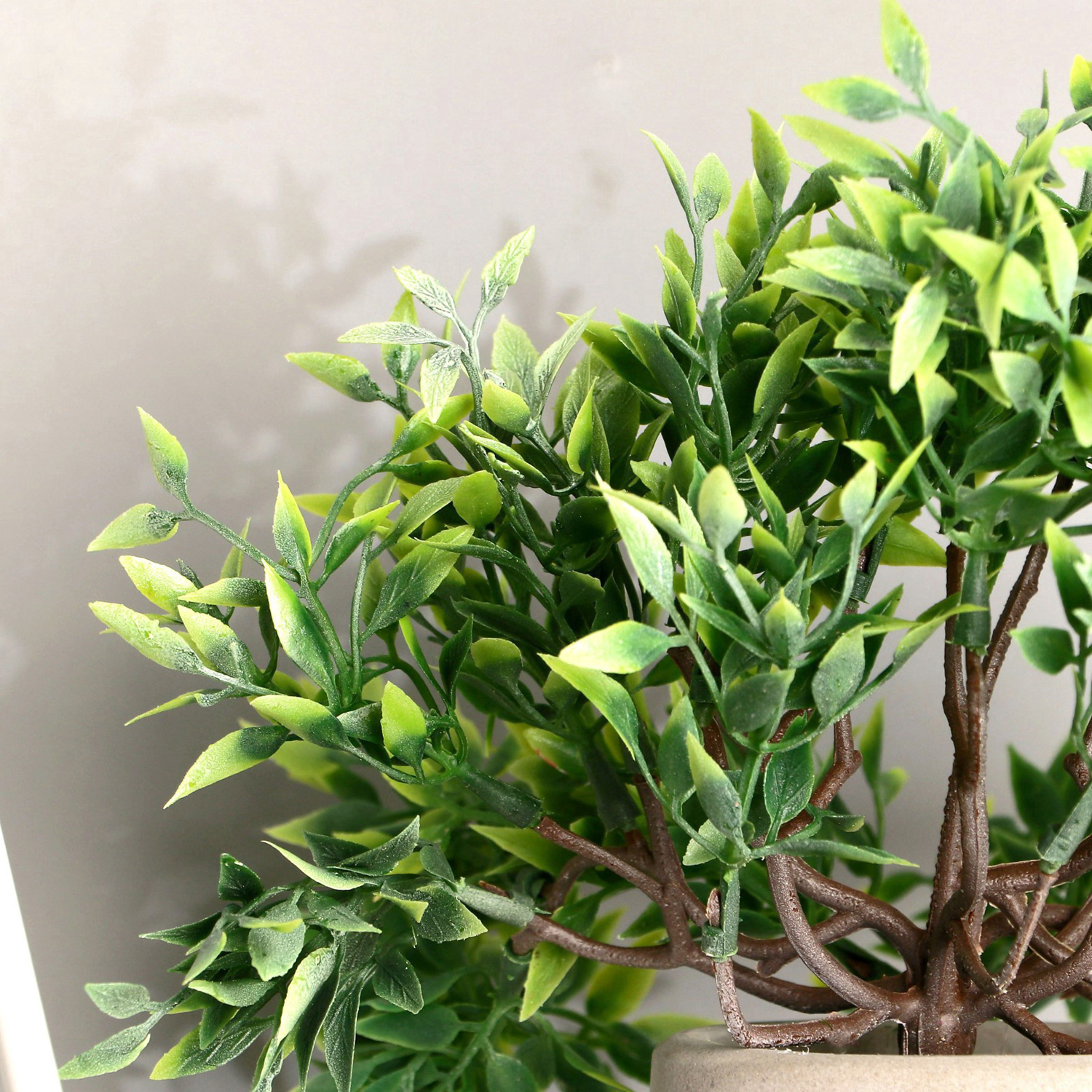 Бонсай в горшке "Фрутикоса пышная" 14х20 см, микс   9222724