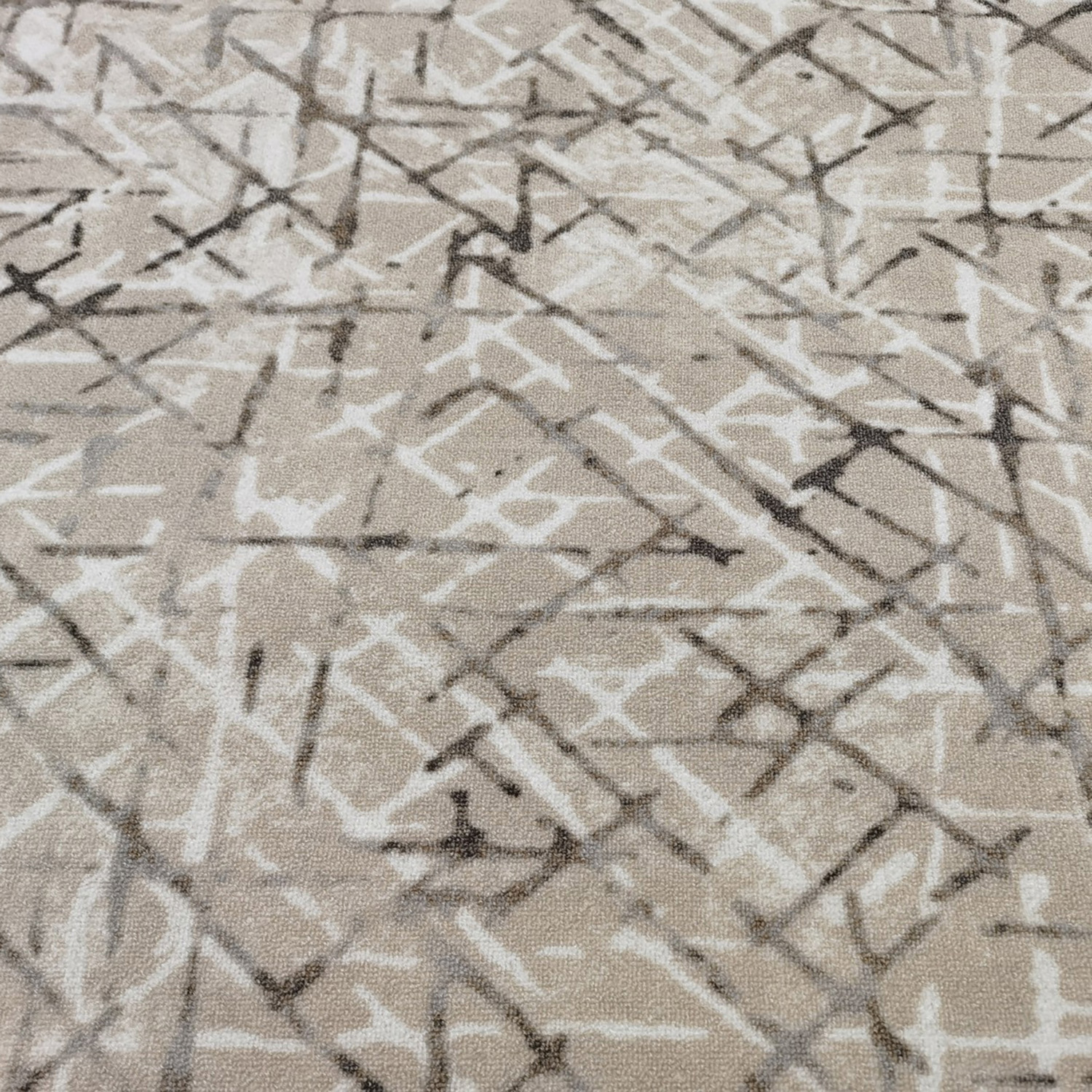 Палас 2651/a2p/124 н (2,5х3.)