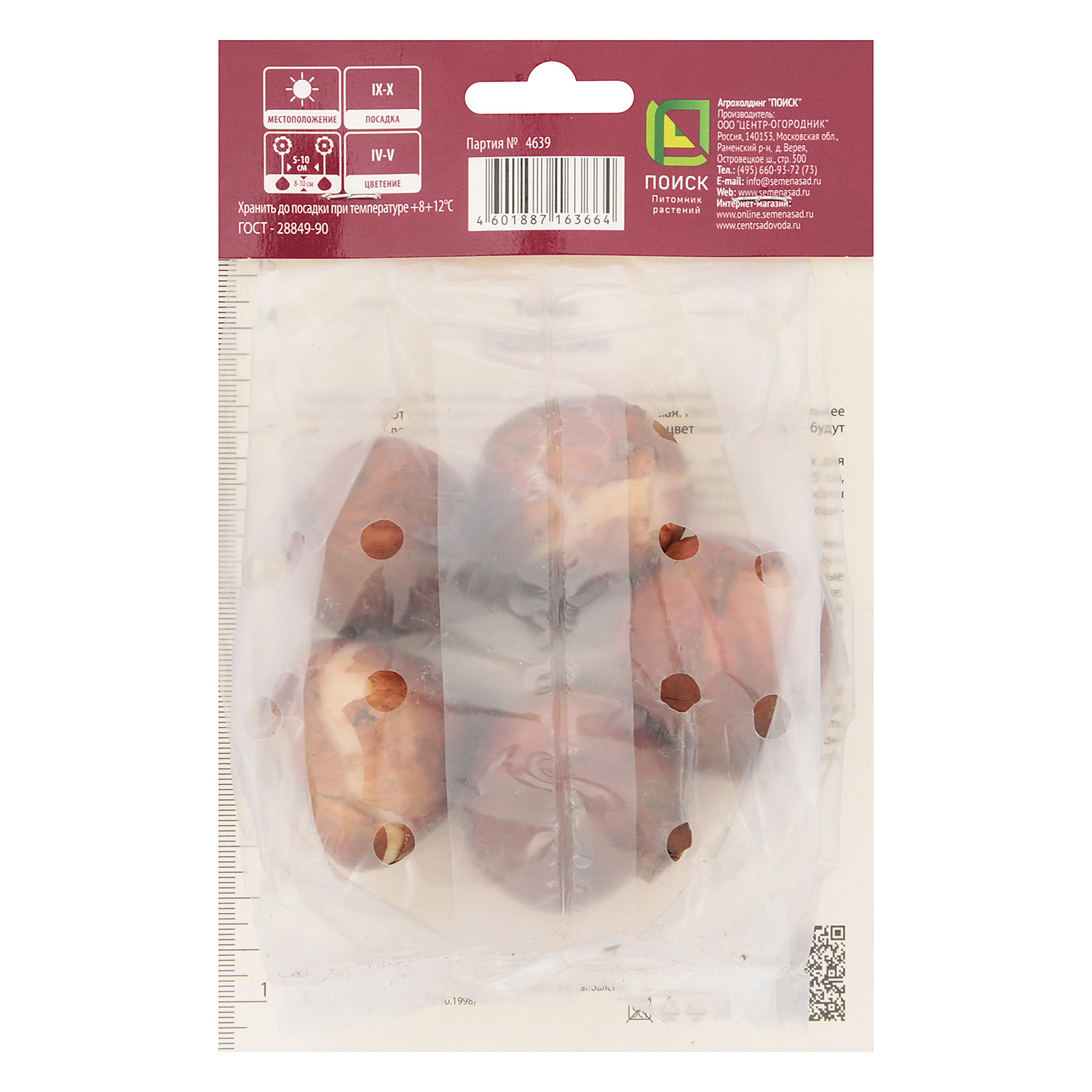 Тюльпан Махровый ранний Дансинг Куин 12+/5шт