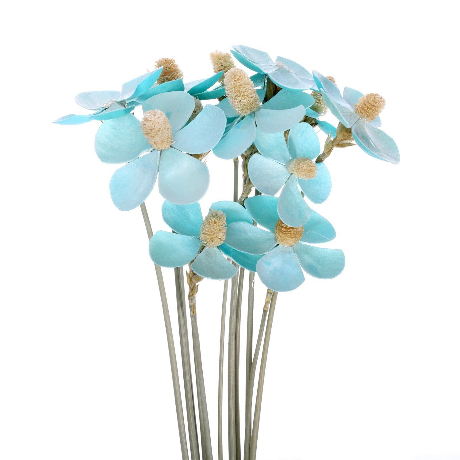 Сухоцвет Фиалка, синий, 12 шт в упаковке   7749563