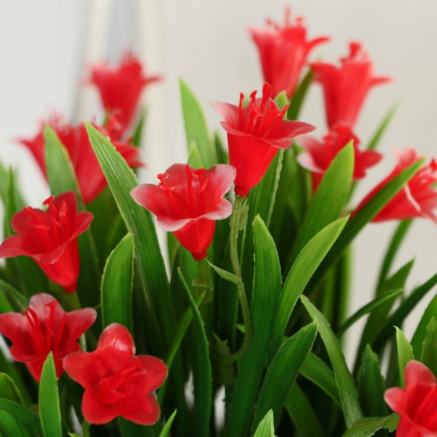 Бонсай в горшке "Гусмания и зелень" 9х18 см   9750513