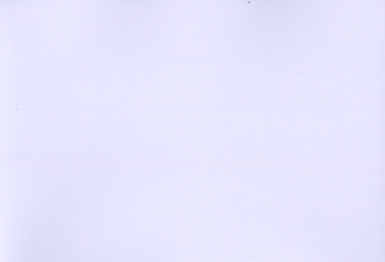 Пленка самоклеящаяся 0.45х8 м D&B, белое дерево