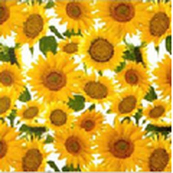 Клеёнка на тканевой основе "Этюд" "Подсолнухи" на белом  шир.1,25м 927/5 "Колорит" *25