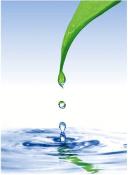 Штора  для ванной "Фора" п/эстер 180*200см "Лист" без колец РН13 *1/24