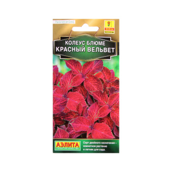Семена Колеус Красный вельвет блюме 10шт Аэлита цв *10/200