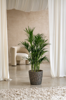 Кашпо пластм. "Winds" 20л d верха 340мм h310мм со вставкой 18,7л Антрацит IG652110003 *1/9