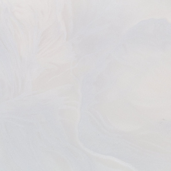 Обои флиз "Палитра" Babochki фон (коричн.) PL72416-28  1,06*10м *1/8